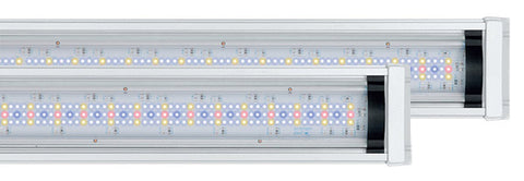 éclairage-led-easy-led-aquatlantis