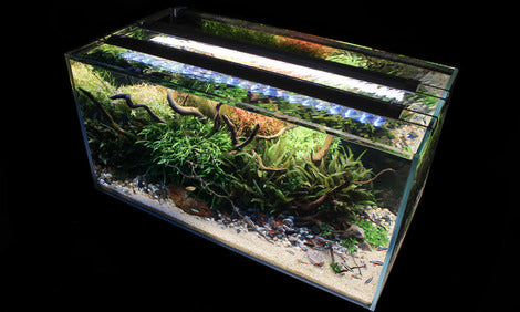 jbl-led-solar-rampe-led-aquarium