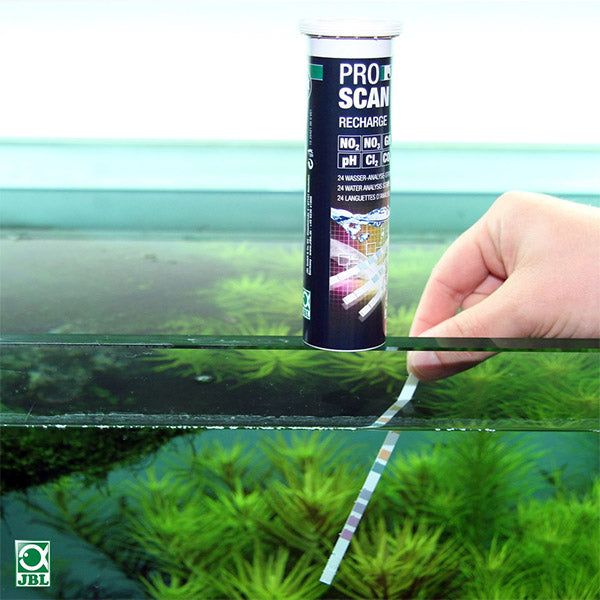 Tester l'eau de votre aquarium et maintenir un équilibre optimal [Le G