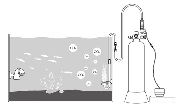 myscape-co2-system-starter-set-schema-installation