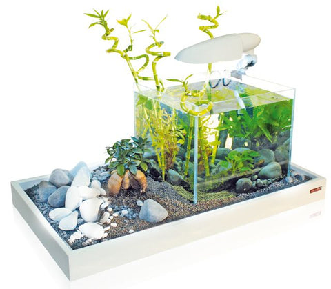 Amtra Nanotank 30 Acquario 30 Litri Vasca Coperchio e Tappetino 30x30x35h cm