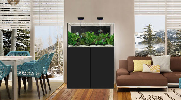 Aquarium AIO de Waterbox 65.4 noir dans salon