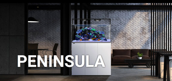 aquarium-peninsula-waterbox-blanc-ambiance