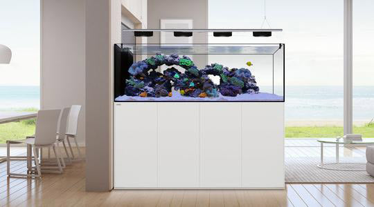 aquarium-peninsula-blanc-waterbox-ambiance