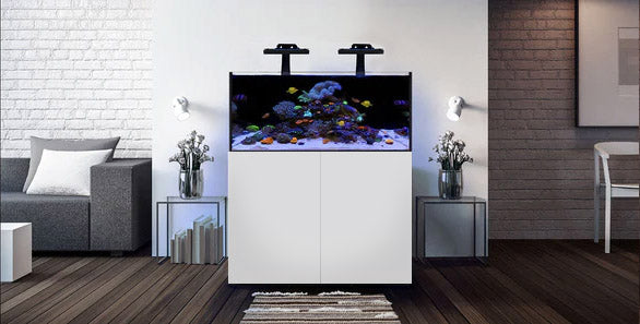 aquarium-reef-lx-240-waterbox-blanc