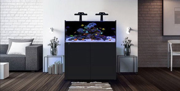 waterbox-reef-lx-noir-ambiance-240-5