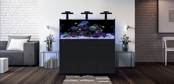 waterbox-reef-lx-noir-ambiance-290-6