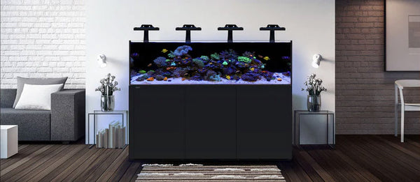 waterbox-reef-lx-noir-ambiance