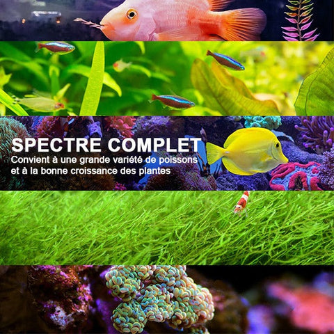 yaubay-day-night-5w-eclairage-led-aquarium-spectre-large
