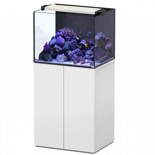 JBL - Colle Universelle ProHaru Universal pour Aquarium - 50ml