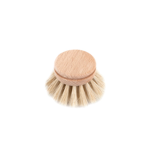 Scrubby Natural Dish Brush Replacement Head – Kaaterskill Market