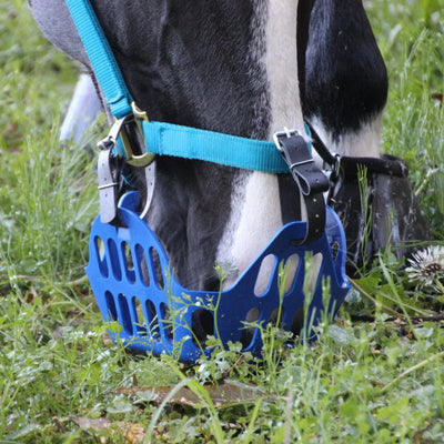 thinline grazing muzzle