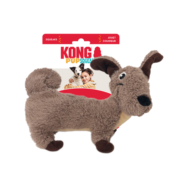 Kong Zoom Groom for Dogs - Raspberry – Decker's Dog + Cat