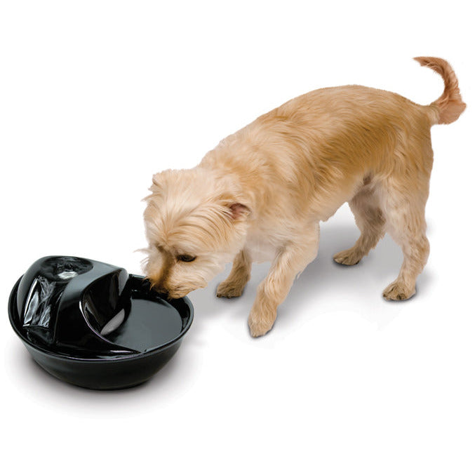 Ontwarren Welsprekend importeren Pioneer Pet Ceramic Drinking Fountain Raindrop - Black 60oz – Decker's Dog  + Cat