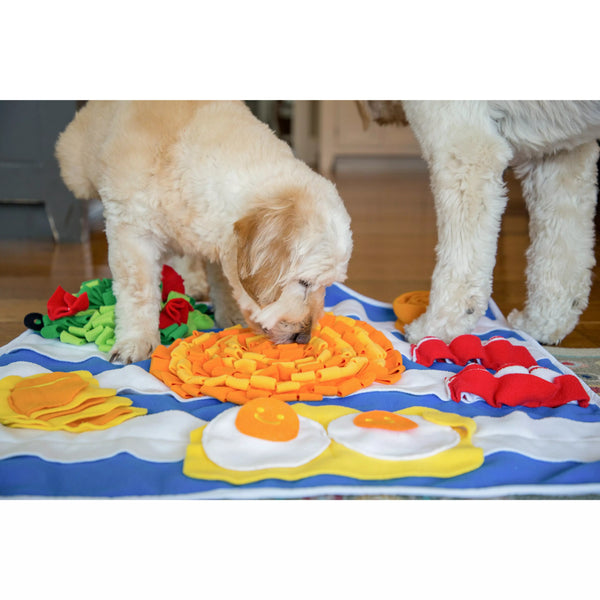 Injoya Avocado Snuffle Mat Dog Toy