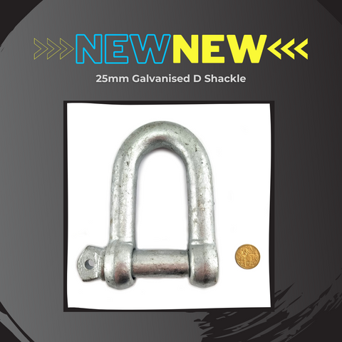 25mm galvanised d-shackle