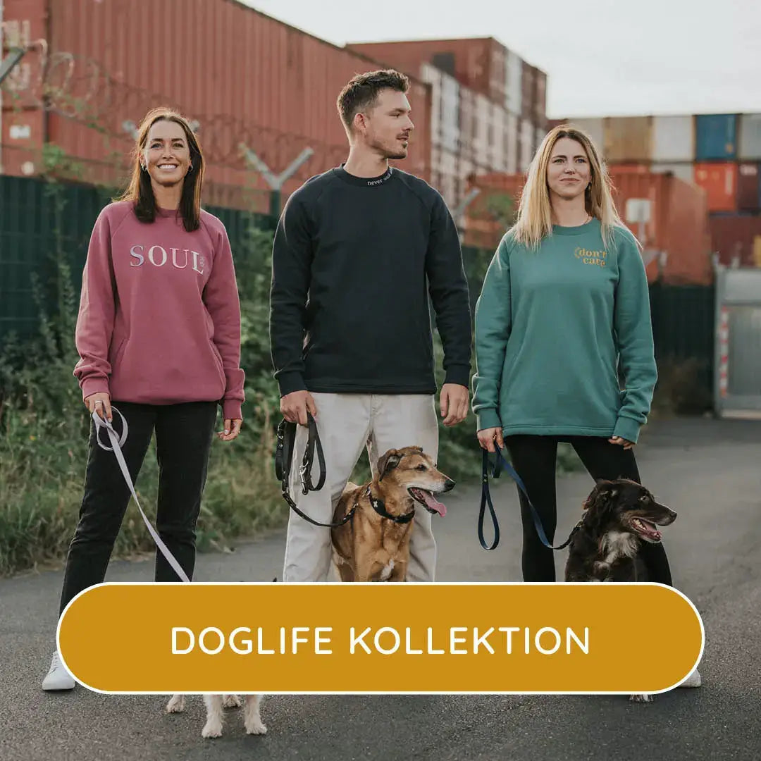 kollektionen4
