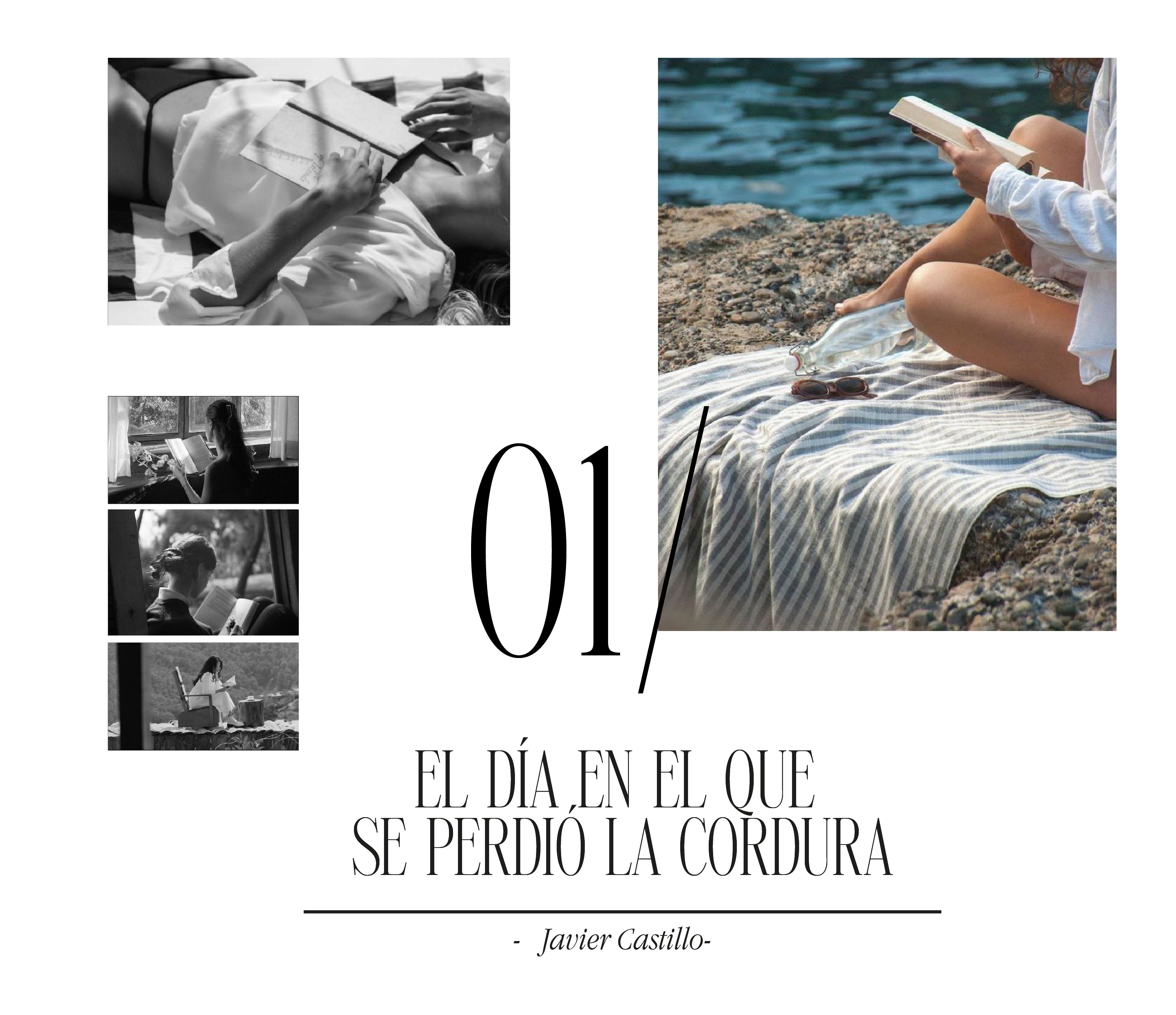 libro, lectura, moda, mujer