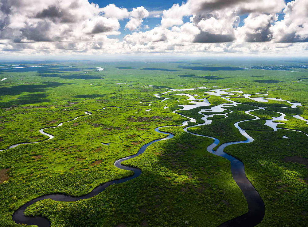 Exploring the Everglades is full of adventure and excitement.