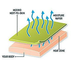 Technical drawing of Smartwool's merino wool wicking moisture