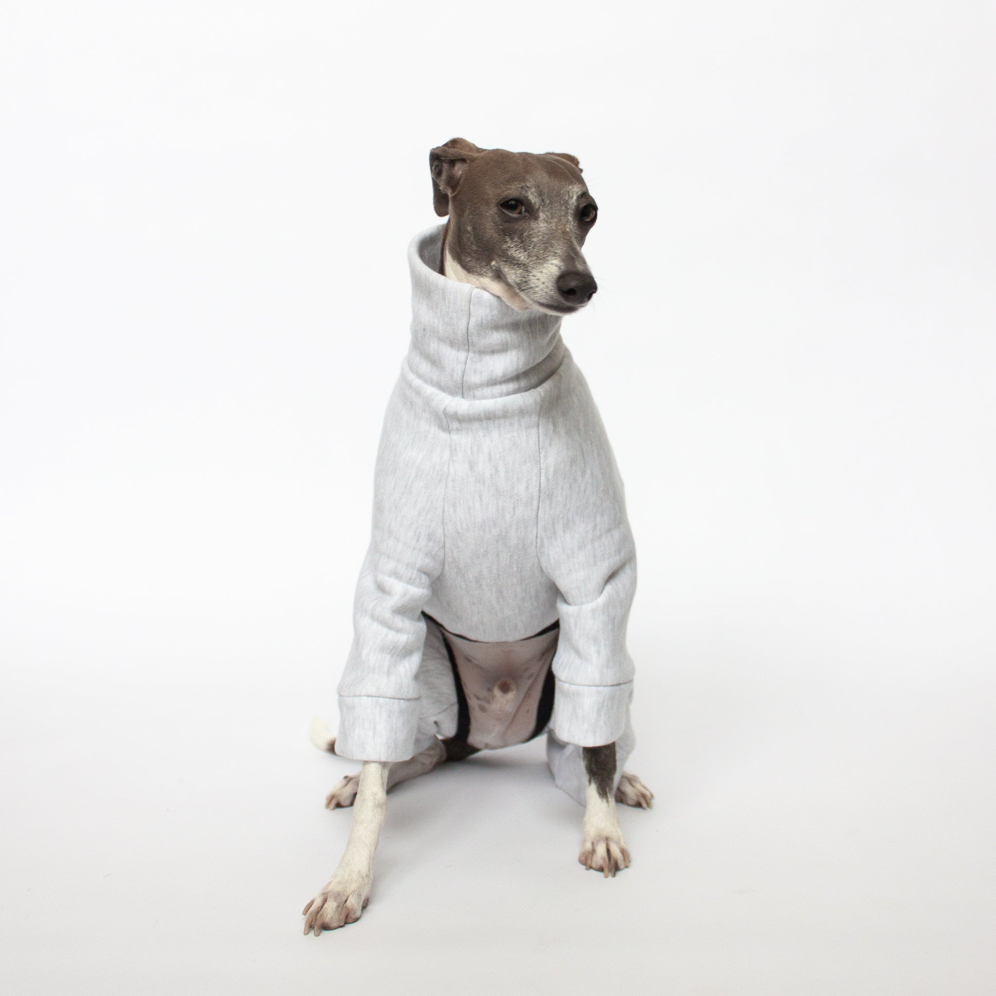 greyhound tracksuit