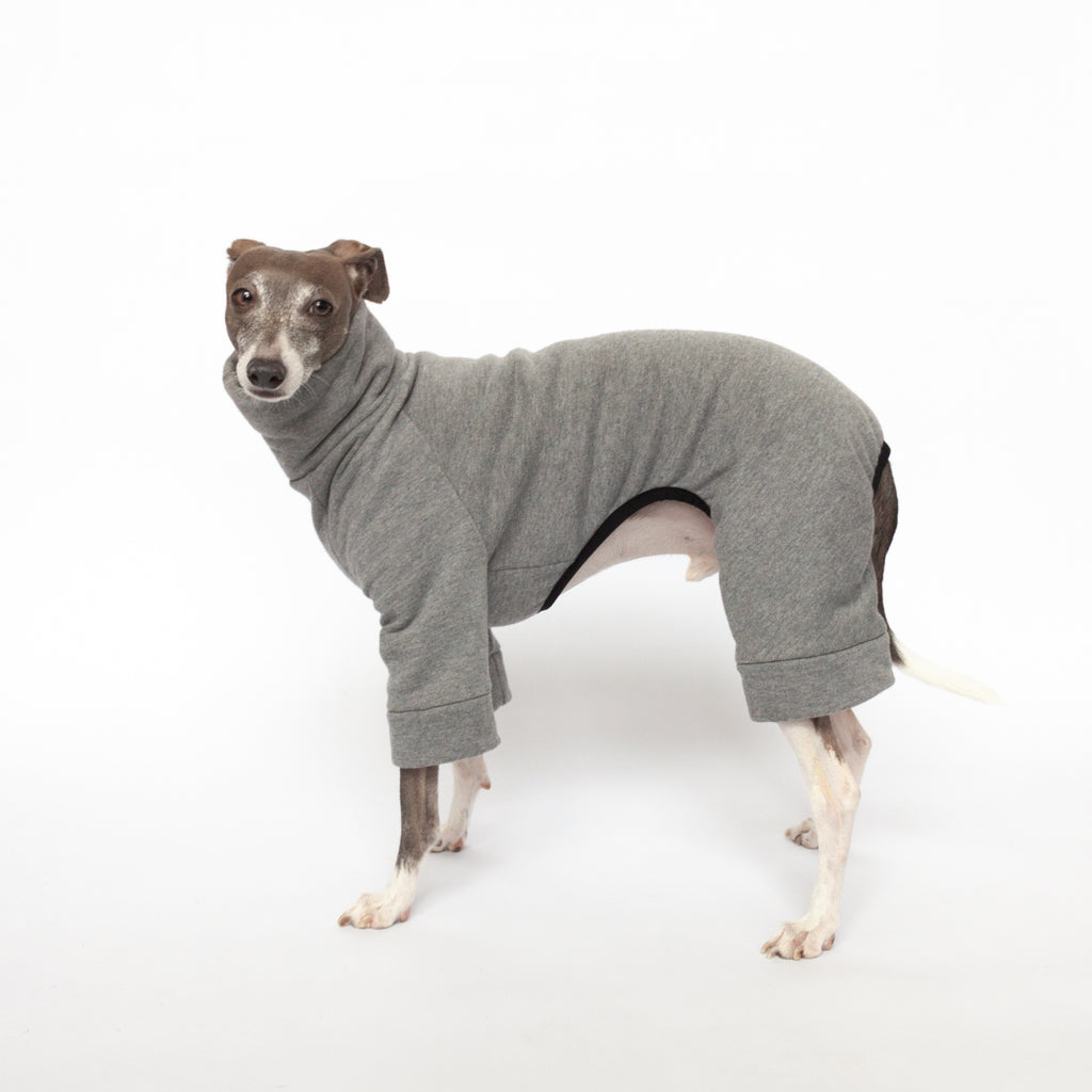 Tracksuit Dog Onesie - Medium Grey – KUVFUR Dog Gear