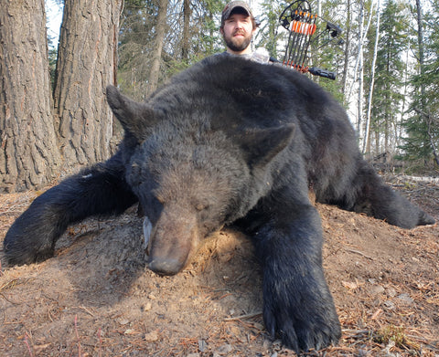 7 footer black bear