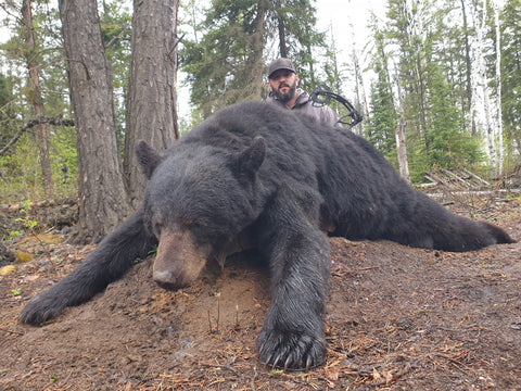 Alberta is the world best Bear hunting