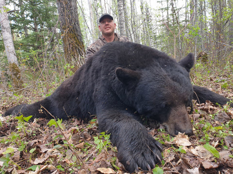 Best Bear Camp in Canada