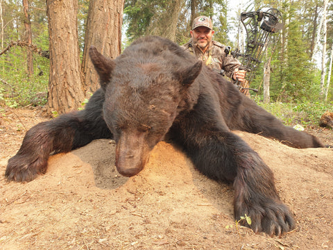 The Given right TV trophy black bear