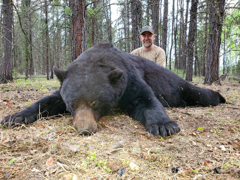 Most professional bear hunt in north America