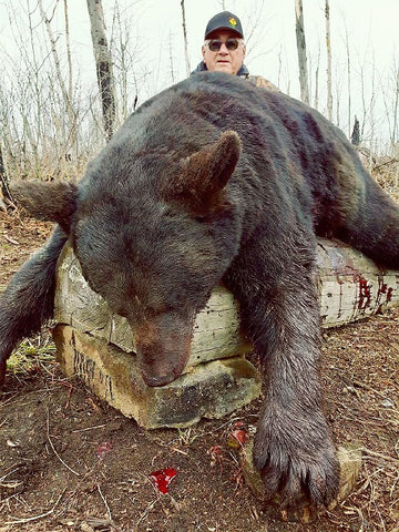 Where to hunt bear in Canada