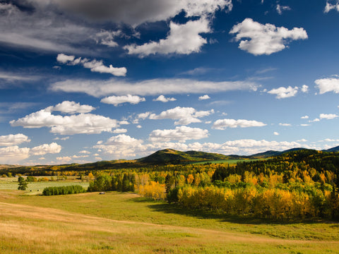 Alberta foothills during fall beautiful hunting territory