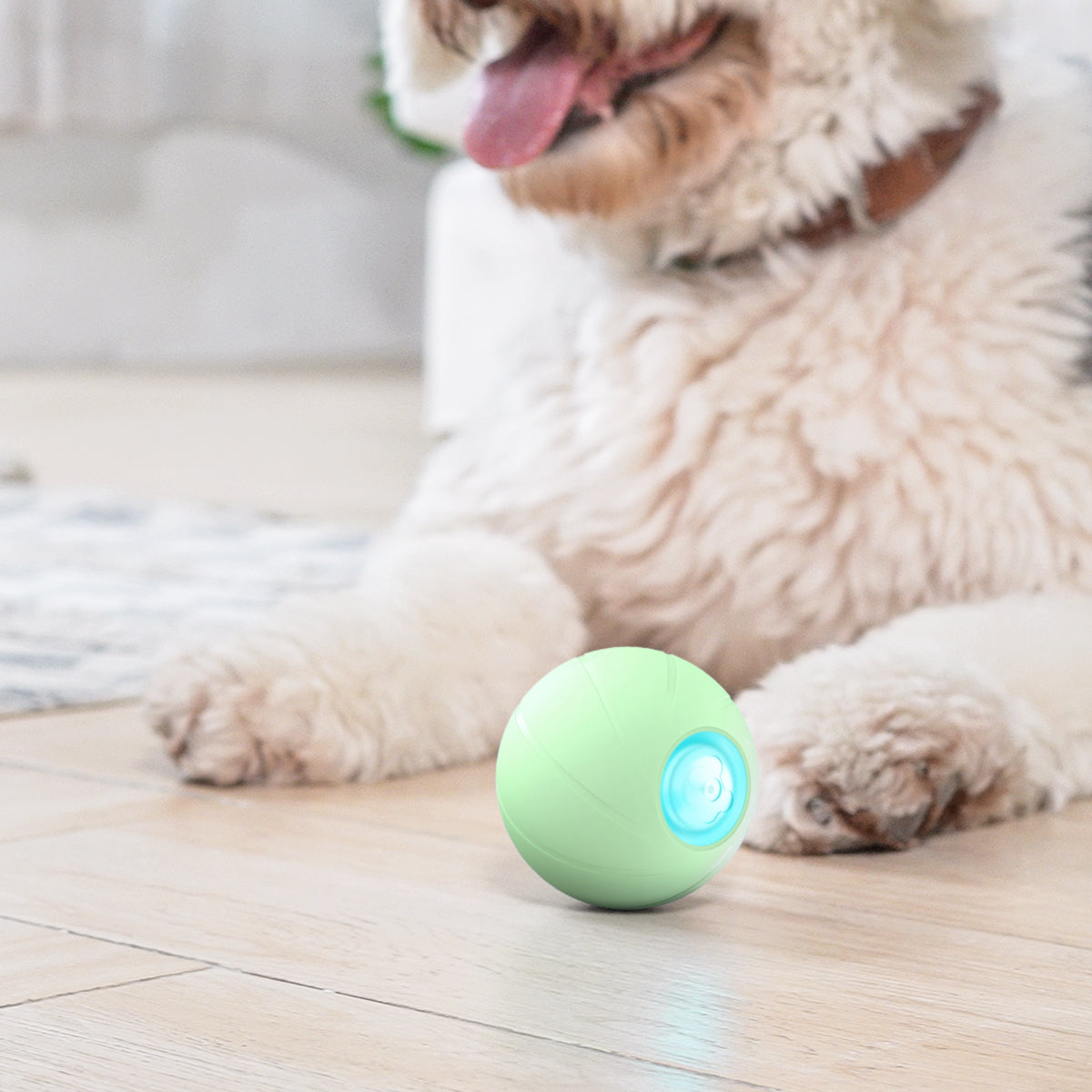 CUXMUX Remote Control Dog Ball, Automatic Active Rolling Ball for Dogs,  Self Moving Interactive Dog Toys, Peppy Pet Ball for Dogs