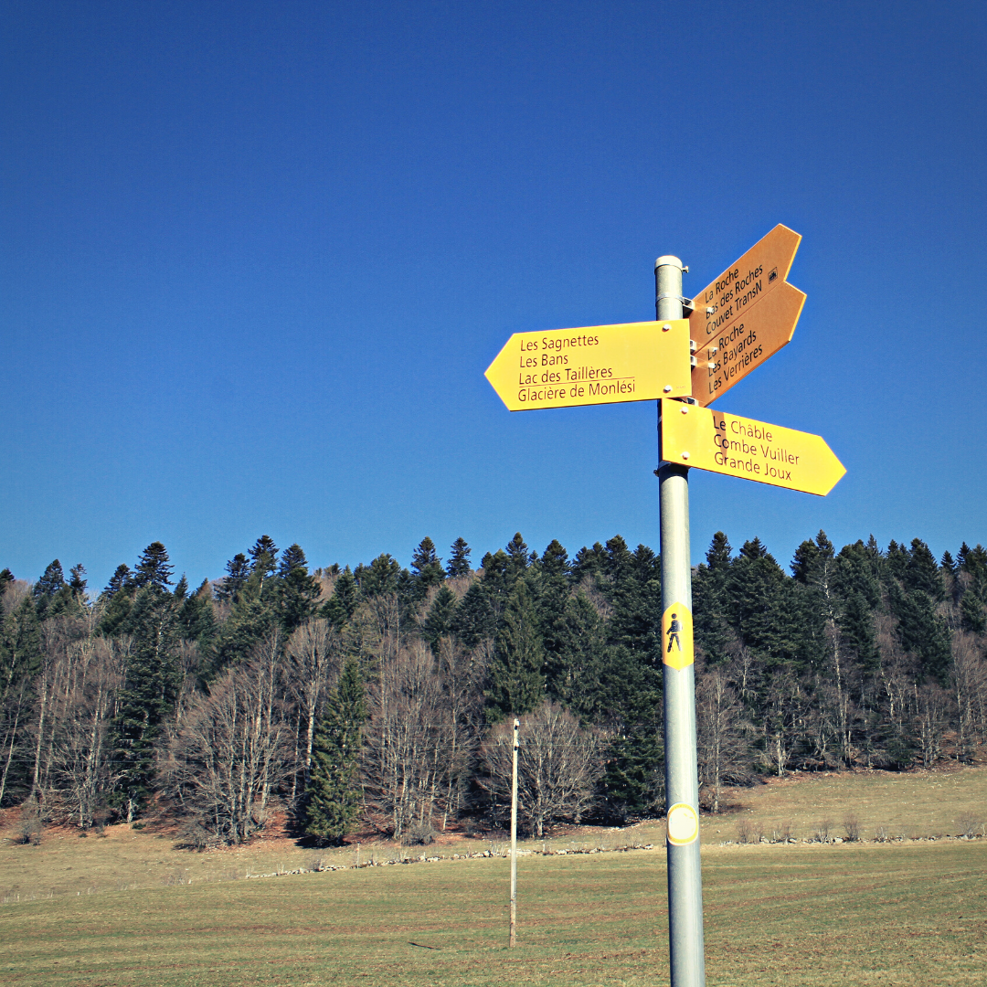 fromages suisse