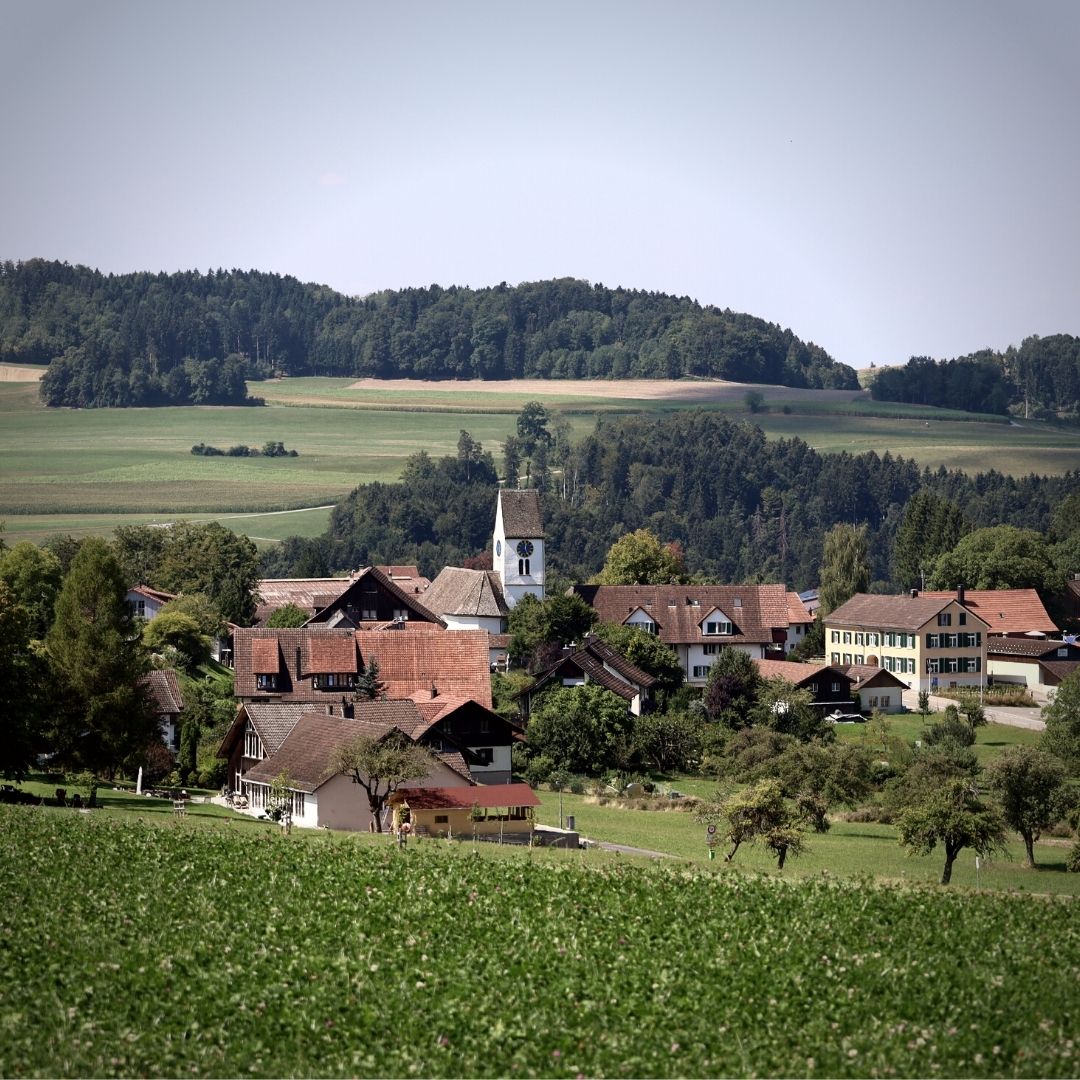 käse gutschein