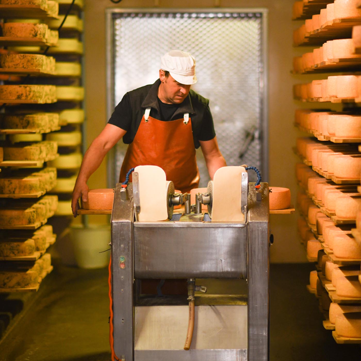 cheeses switzerland