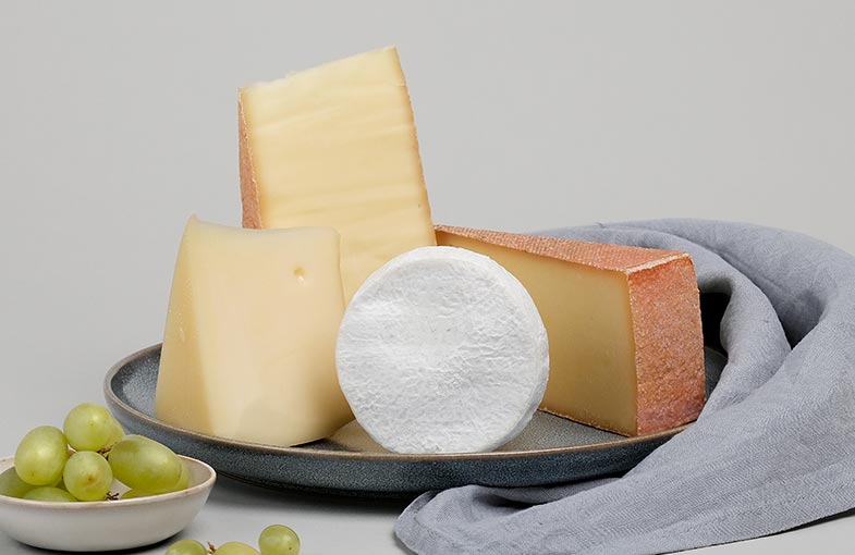 käse abo schweiz