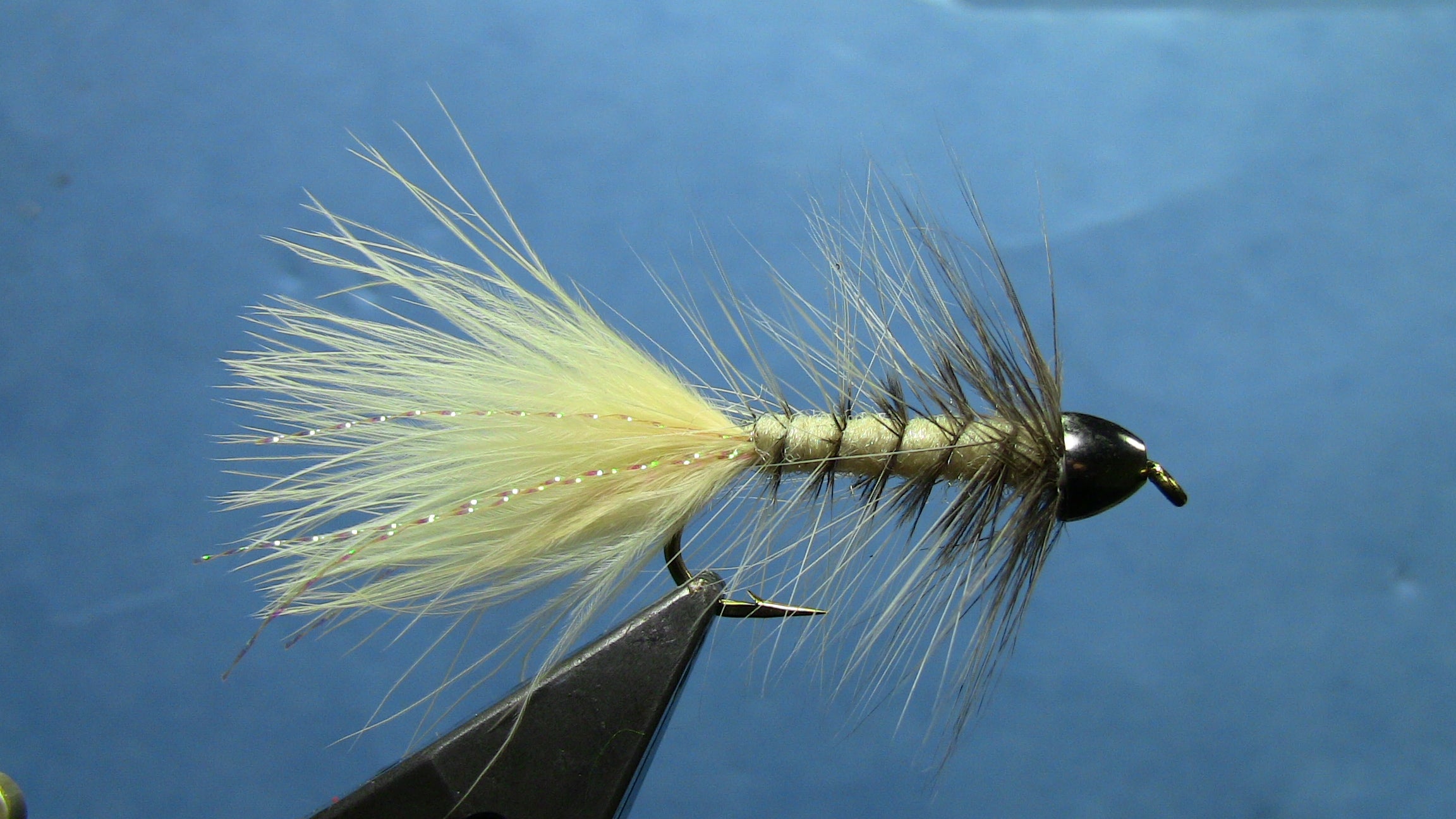 Fly Tying Videos Archives - Bighorn Angler