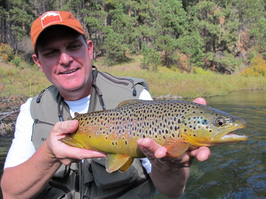 brown trout fishing black hills