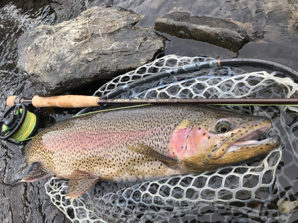 The TILT Euro Nymph Fly Reel was - Guide Flyfishing