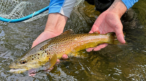 Night Fishing Tactics for Brown Trout – Cortland Line Company