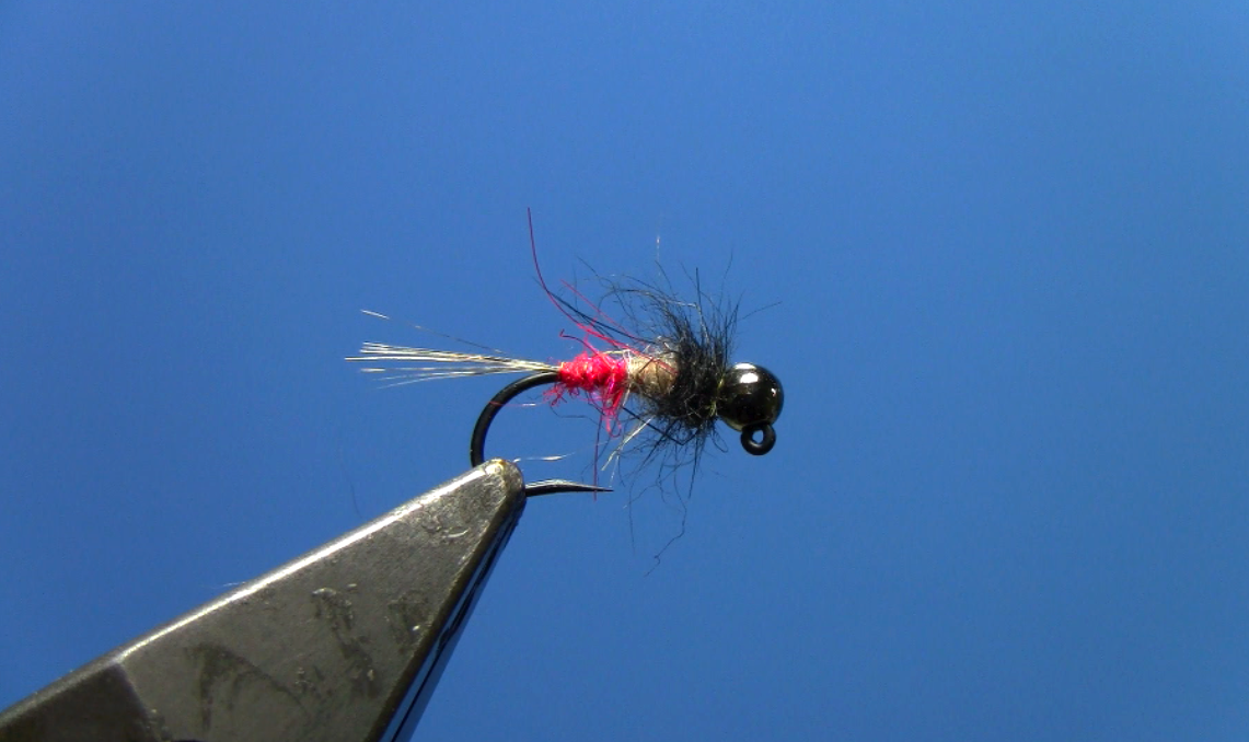 Tungsten Jig Red Butt Nymph - Fly Tying Video – Dakota Angler
