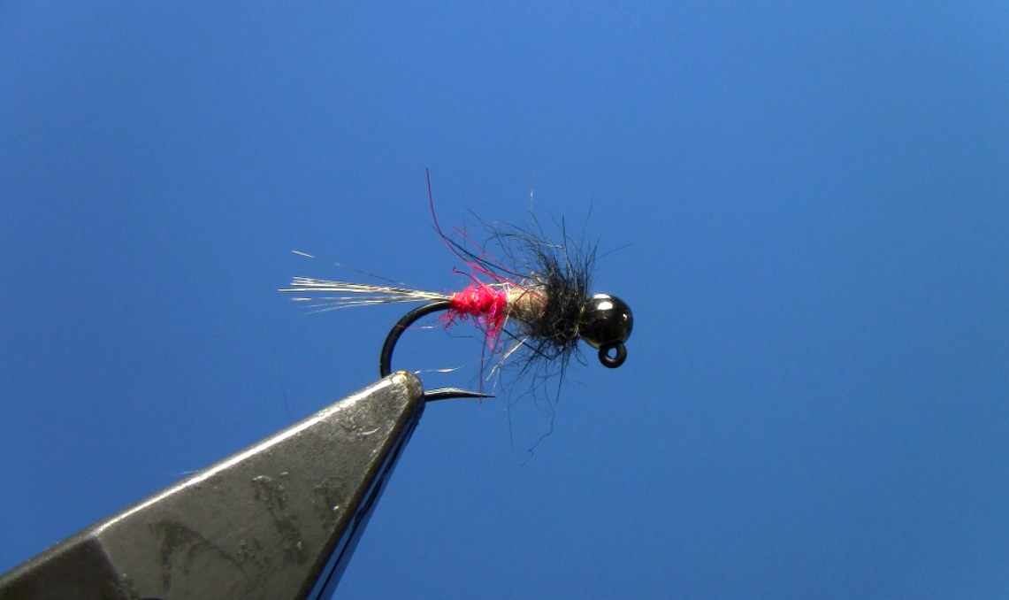 Tungsten Jig Red Butt Nymph - Fly Tying Video – Dakota Angler & Outfitter