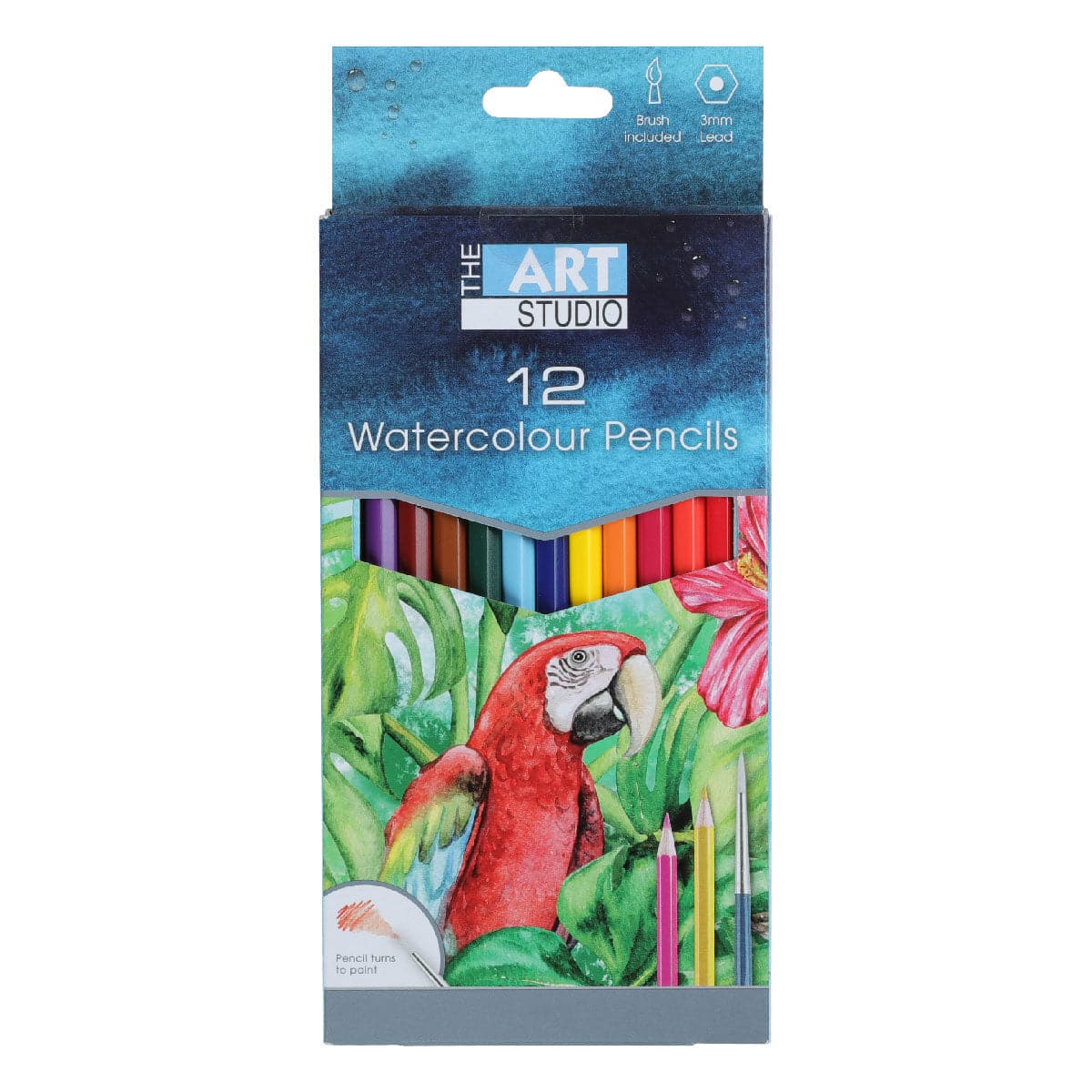 Image of The Art Studio Watercolour Pencils Assorted Colours 12 Pack