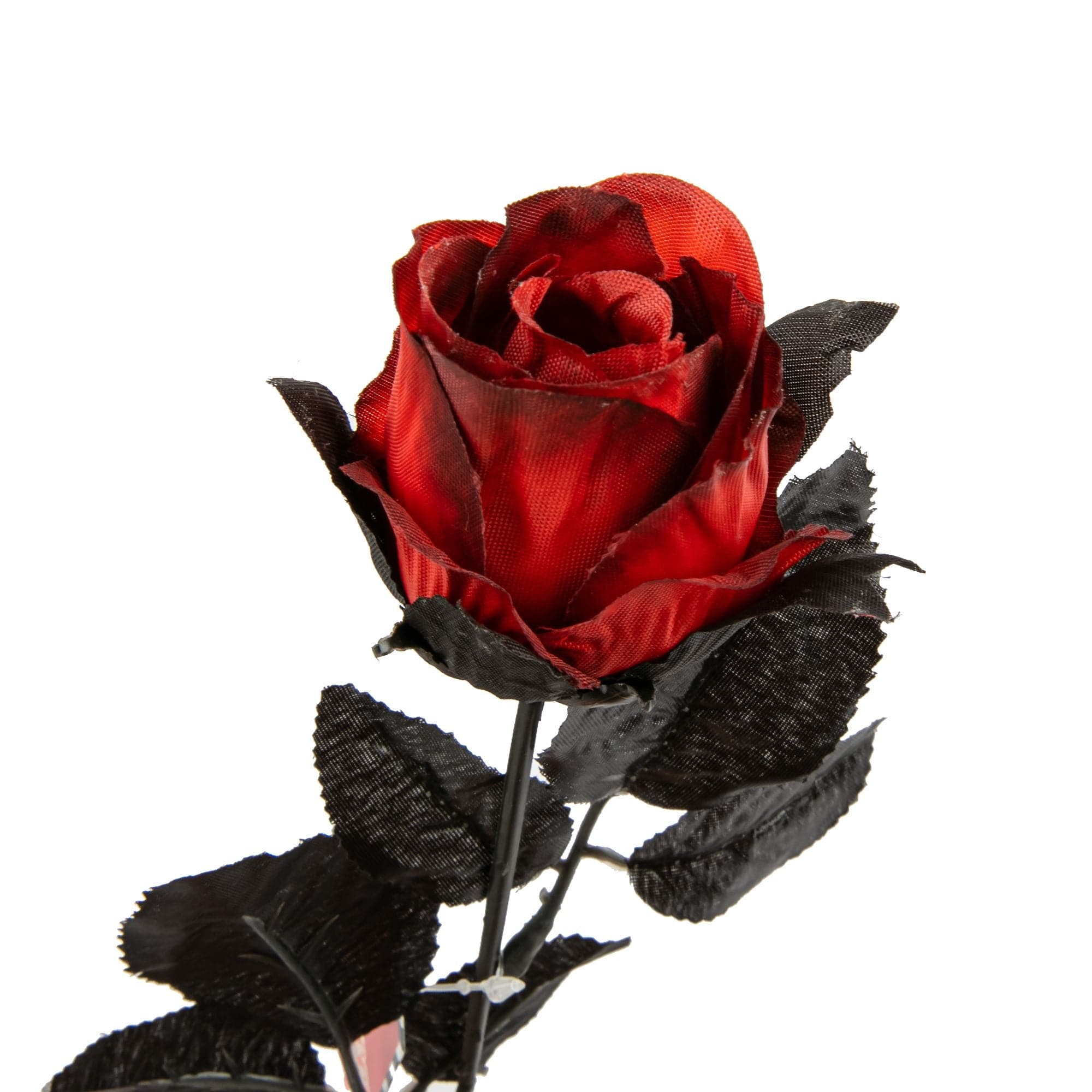 Image of Halloween Red Rose 43cm