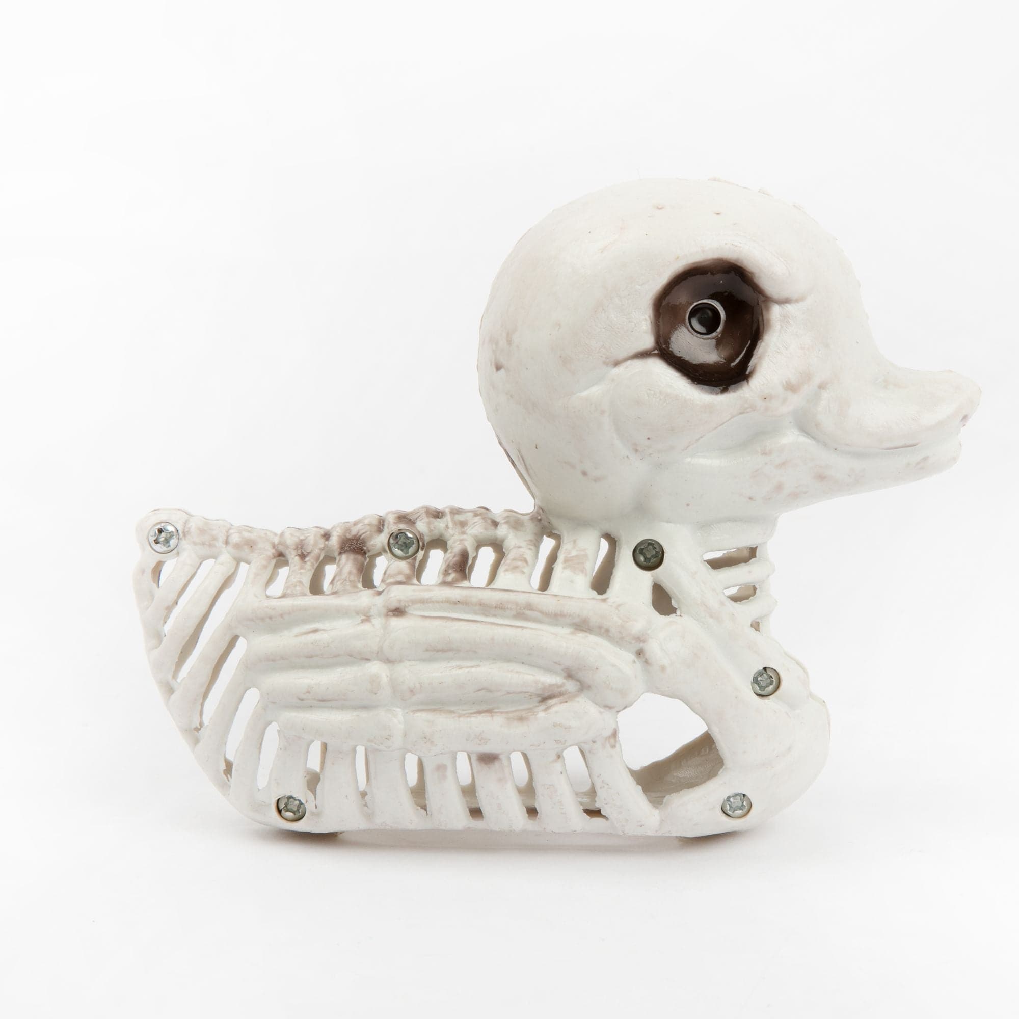 Image of Skeleton Duck