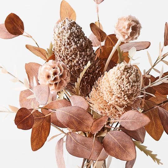 Image of Banksia Acorn Mix in Vase. Colour: Rust Size: 23cmw x 36cmh