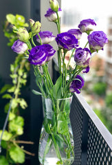Photo by Marianna OLE from Pexels – Purple flowers in a vase with water