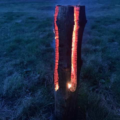 A burning log on the campsite